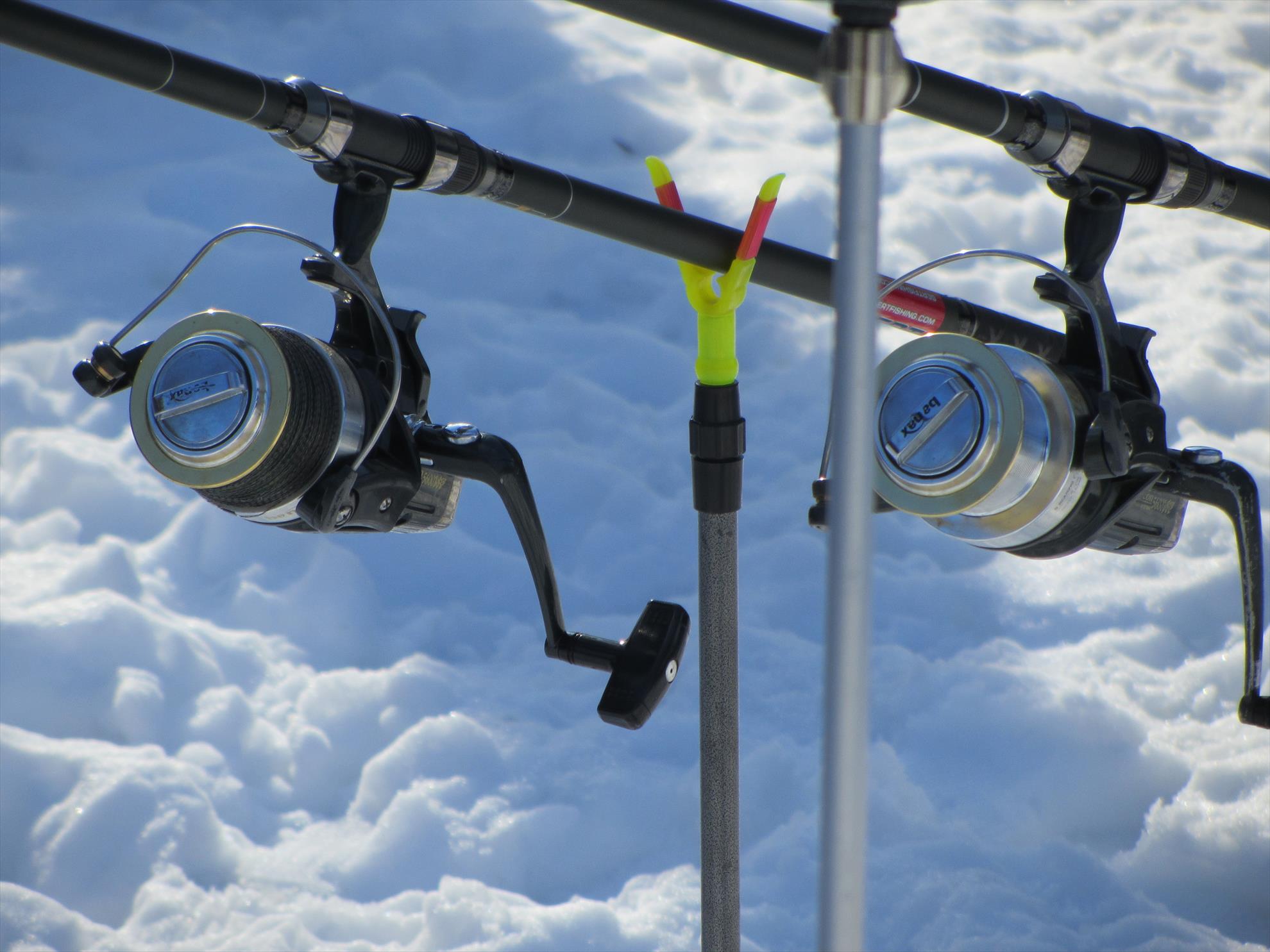 primavara?? - img2165.JPG